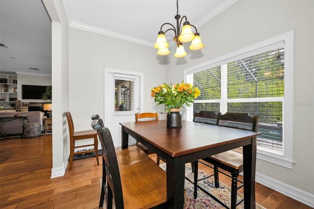 14915 SMITTER RESERVE DRIVE, Tampa, FL 33618