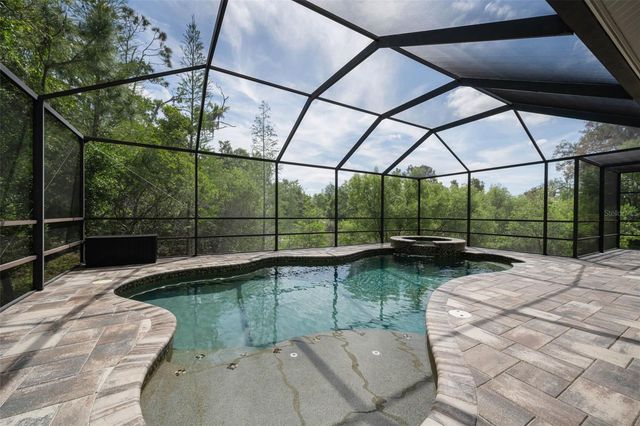 14915 SMITTER RESERVE DRIVE, Tampa, FL 33618