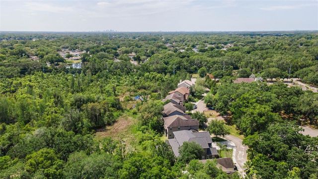 14915 SMITTER RESERVE DRIVE, Tampa, FL 33618