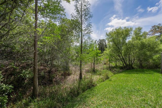 14915 SMITTER RESERVE DRIVE, Tampa, FL 33618