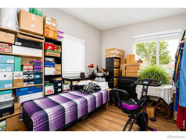 3736 Roosevelt Avenue, Wellington, CO 80549