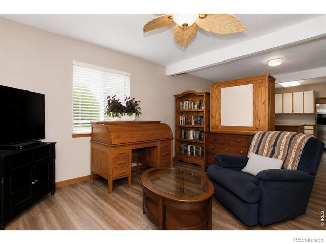 3736 Roosevelt Avenue, Wellington, CO 80549