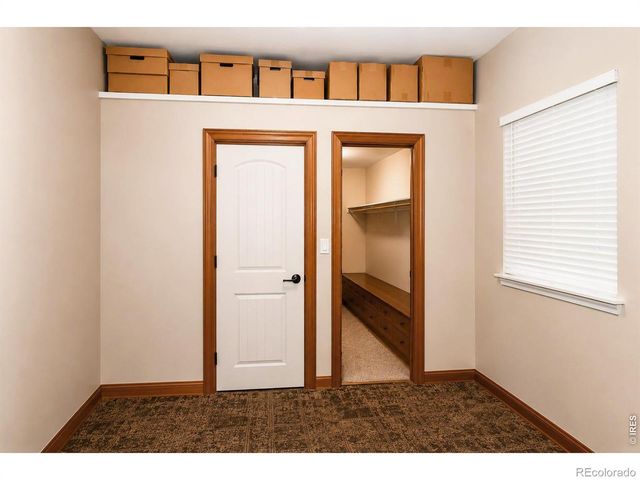 3736 Roosevelt Avenue, Wellington, CO 80549