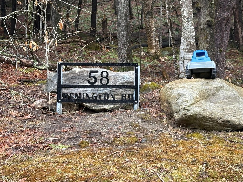 58 Remington Road # 2, Chester, VT 05143
