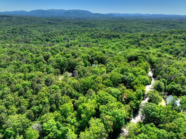 381 Morley Court, Ellijay, GA 30540