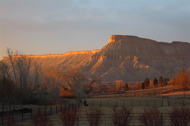 3575 E Road, Palisade, CO 81526