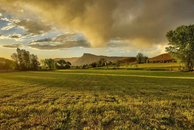 3575 E Road, Palisade, CO 81526