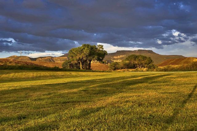 3575 E Road, Palisade, CO 81526