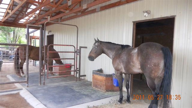 3575 E Road, Palisade, CO 81526