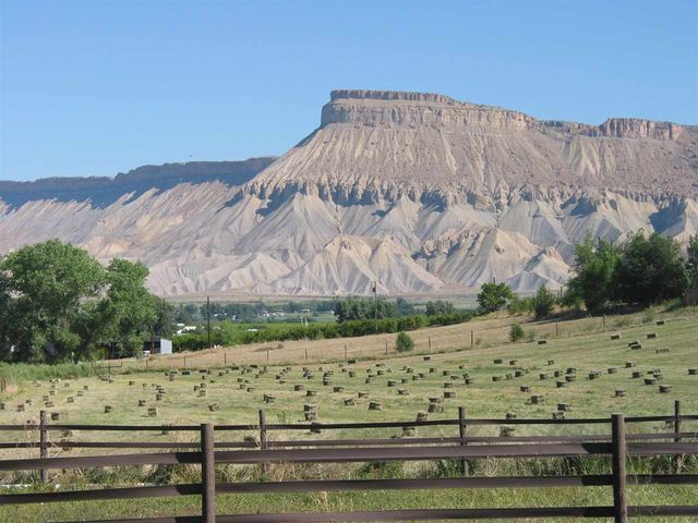 3575 E Road, Palisade, CO 81526