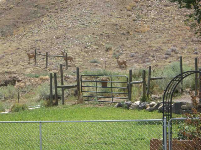 3575 E Road, Palisade, CO 81526