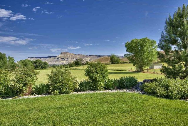 3575 E Road, Palisade, CO 81526