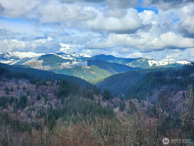 1141 Cedar Falls Road, Washougal, WA 98671