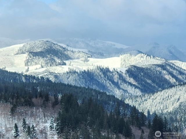 1141 Cedar Falls Road, Washougal, WA 98671