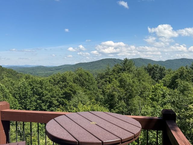 81 Sundance Ridge, Blue Ridge, GA 30513