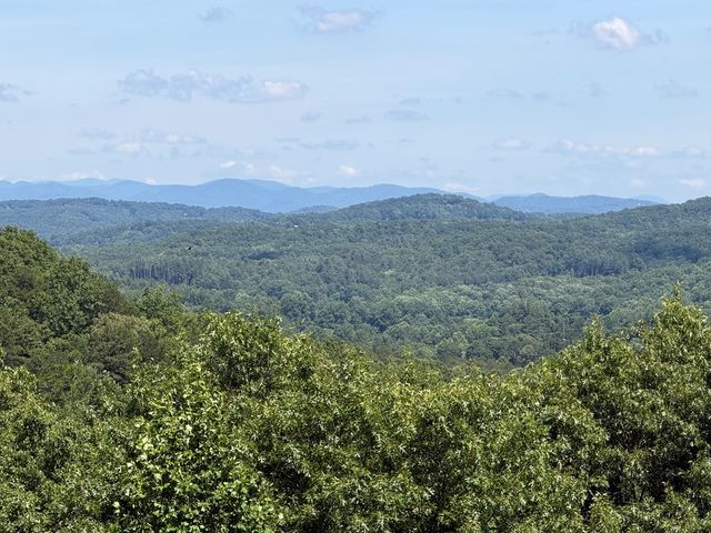 81 Sundance Ridge, Blue Ridge, GA 30513