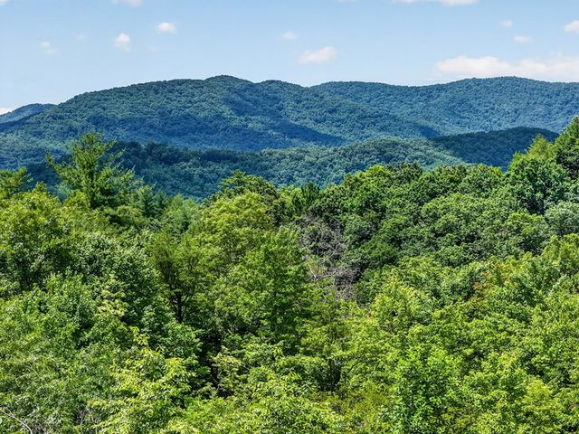 81 Sundance Ridge, Blue Ridge, GA 30513