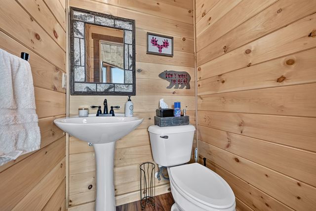 81 Sundance Ridge, Blue Ridge, GA 30513