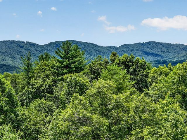 81 Sundance Ridge, Blue Ridge, GA 30513
