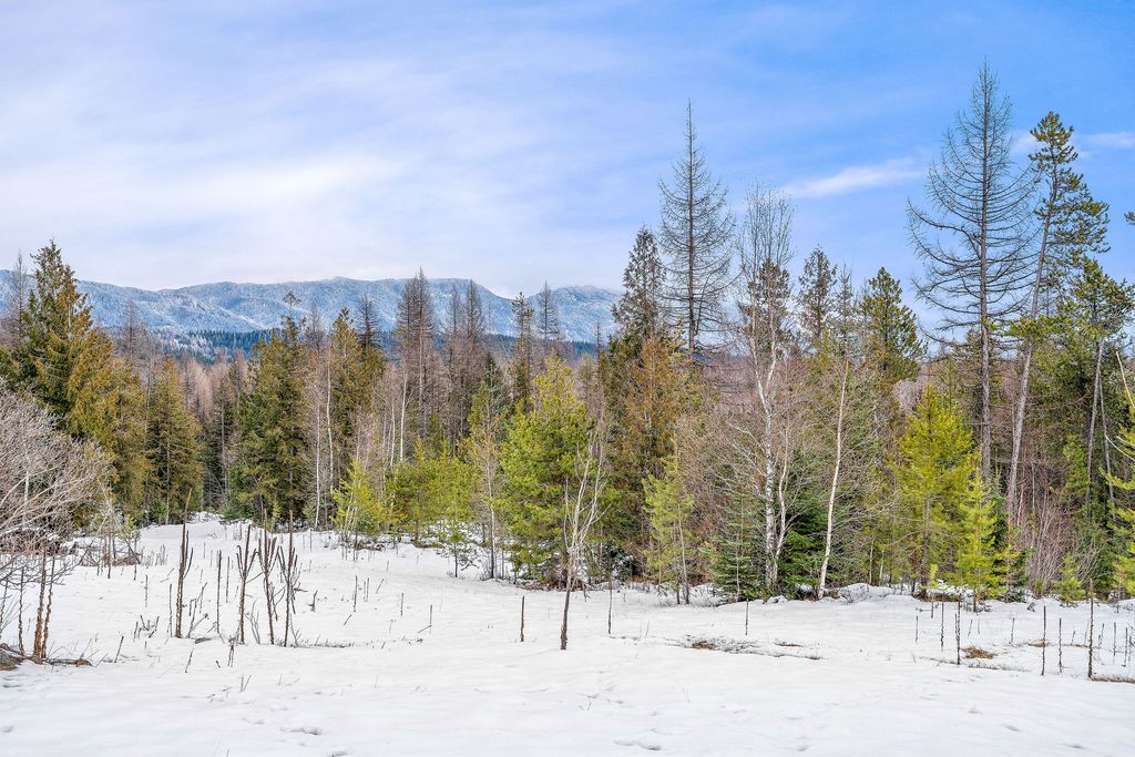 3083 Witty Lane, Columbia Falls, MT 59912 photo 42