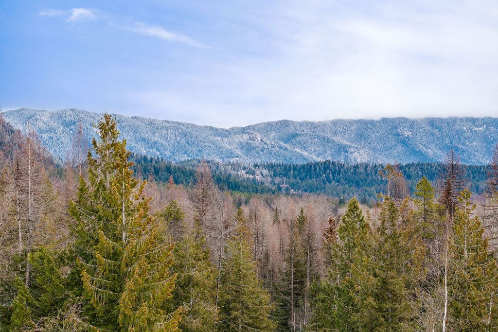 3083 Witty Lane, Columbia Falls, MT 59912 photo 43