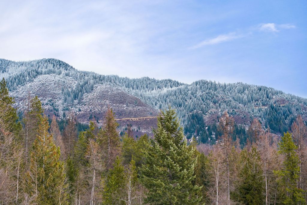 3083 Witty Lane, Columbia Falls, MT 59912 photo 45