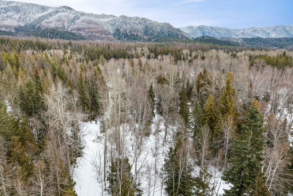 3083 Witty Lane, Columbia Falls, MT 59912 photo 49