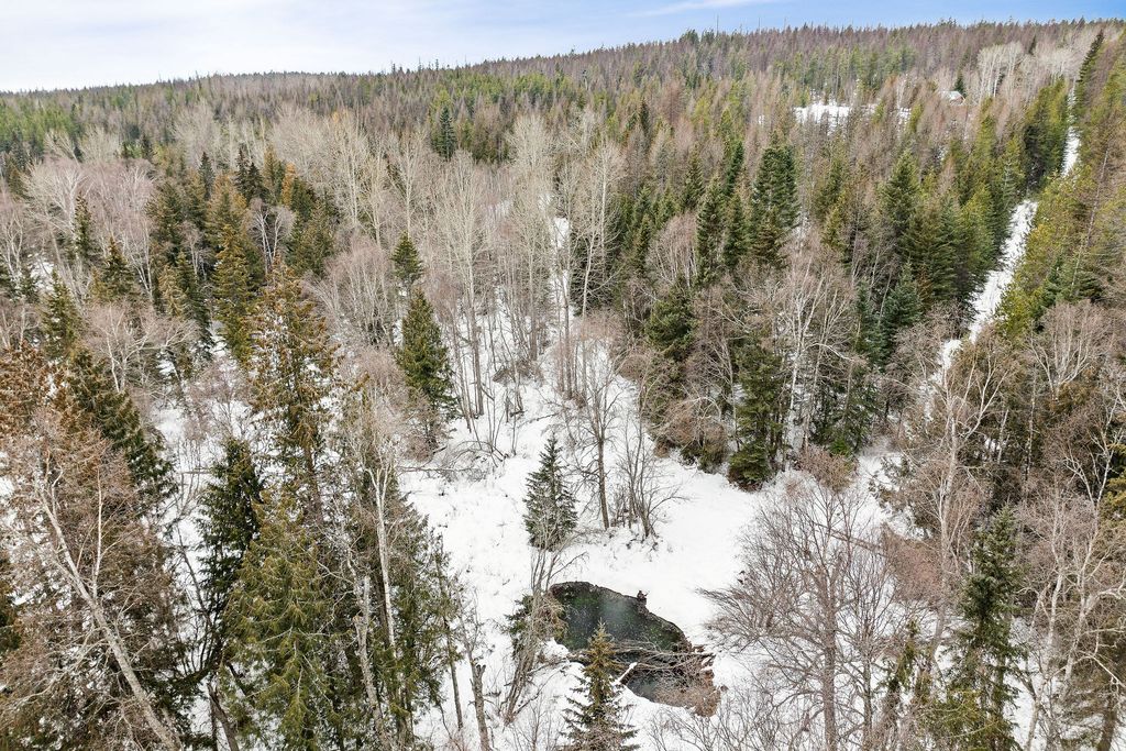 3083 Witty Lane, Columbia Falls, MT 59912 photo 50