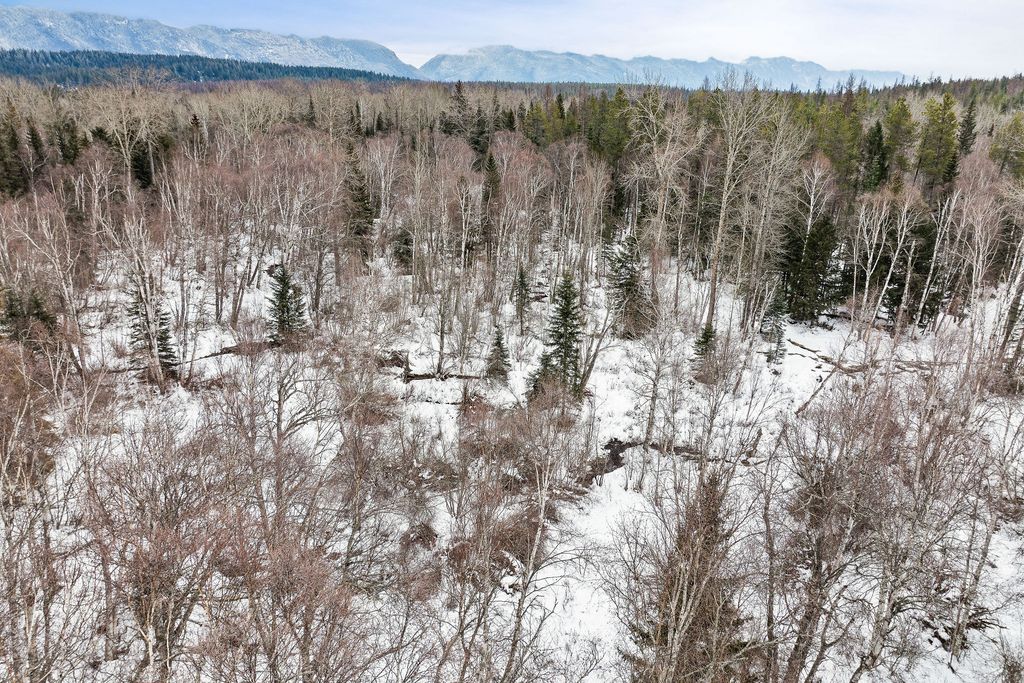 3083 Witty Lane, Columbia Falls, MT 59912 photo 51