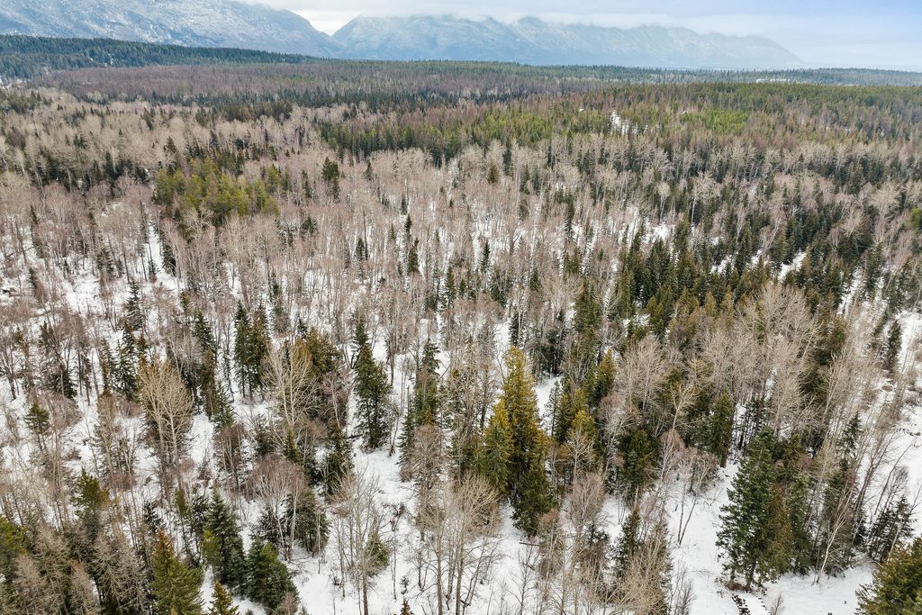 3083 Witty Lane, Columbia Falls, MT 59912 photo 52