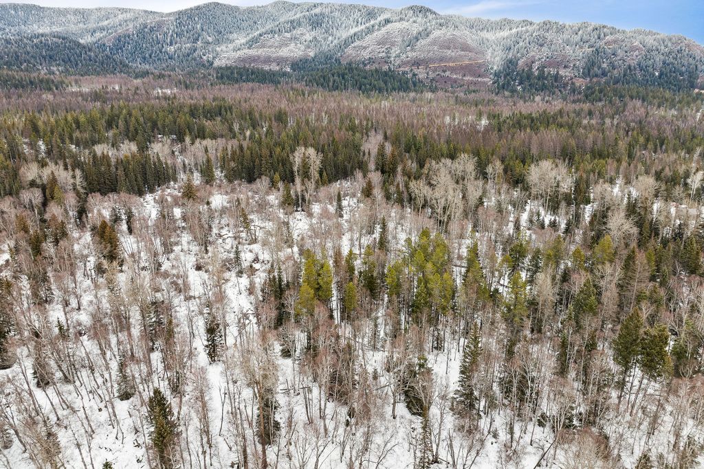 3083 Witty Lane, Columbia Falls, MT 59912 photo 53