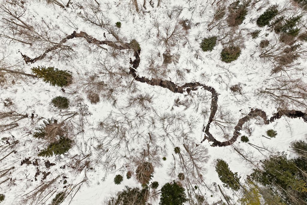 3083 Witty Lane, Columbia Falls, MT 59912 photo 54