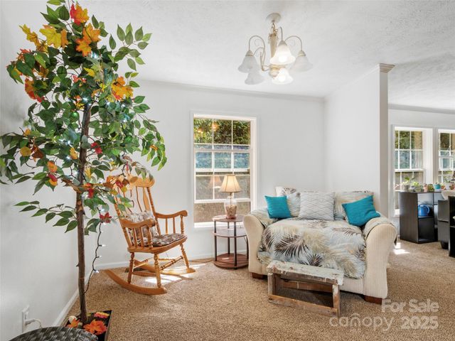 113 Snowberry Lane, Burnsville, NC 28714