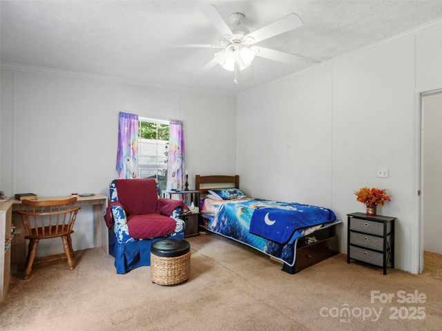 113 Snowberry Lane, Burnsville, NC 28714