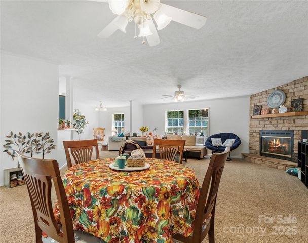 113 Snowberry Lane, Burnsville, NC 28714