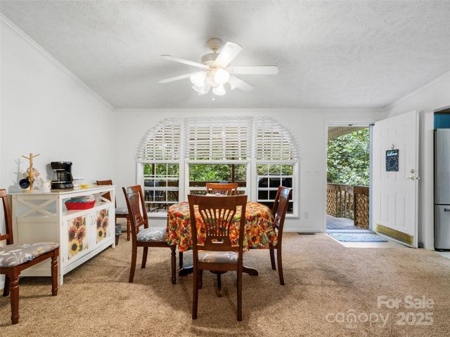 113 Snowberry Lane, Burnsville, NC 28714