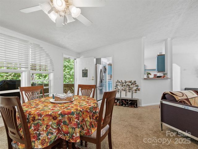 113 Snowberry Lane, Burnsville, NC 28714