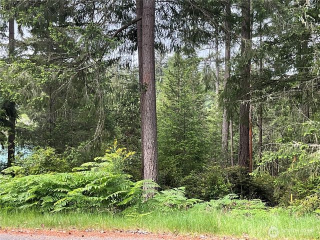11018 Mathews Way, Anderson Island, WA 98303