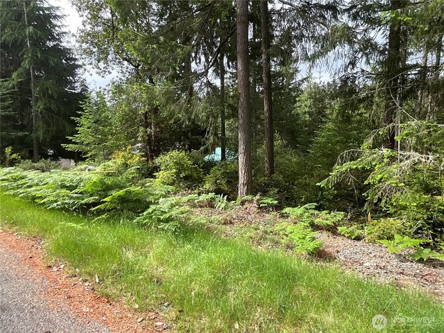 11018 Mathews Way, Anderson Island, WA 98303