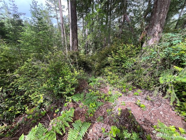 11018 Mathews Way, Anderson Island, WA 98303