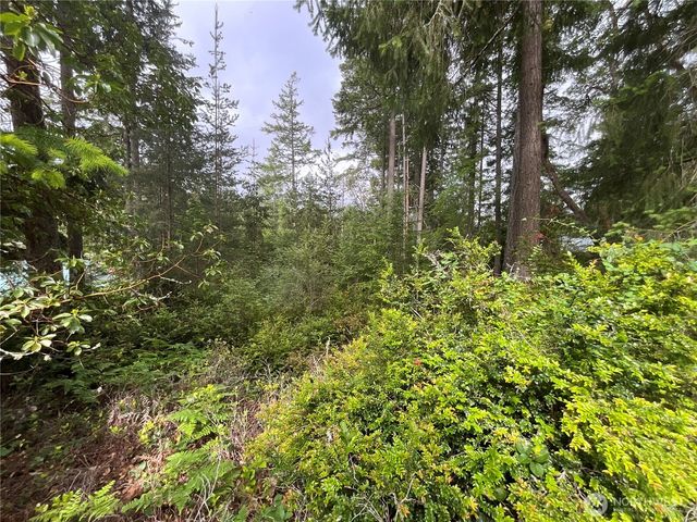 11018 Mathews Way, Anderson Island, WA 98303