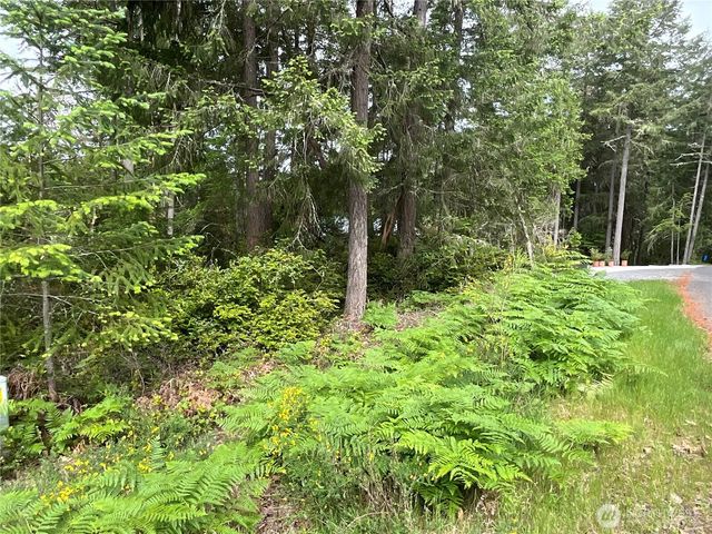 11018 Mathews Way, Anderson Island, WA 98303