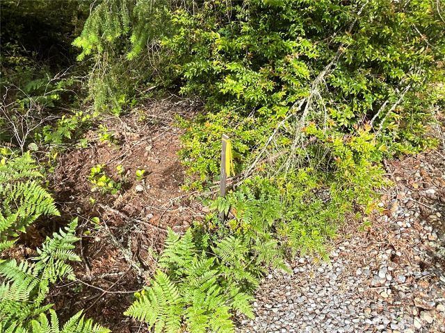 11018 Mathews Way, Anderson Island, WA 98303