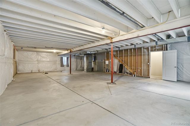 1821 Thrive Drive, Windsor, CO 80550