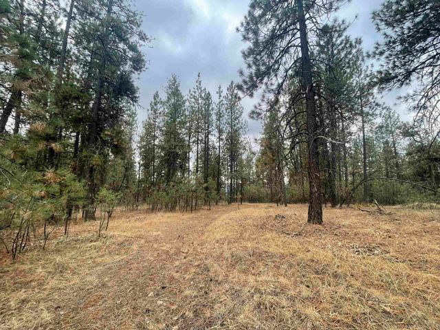 NKA Rocky Top Way, Deer Park, WA 99006