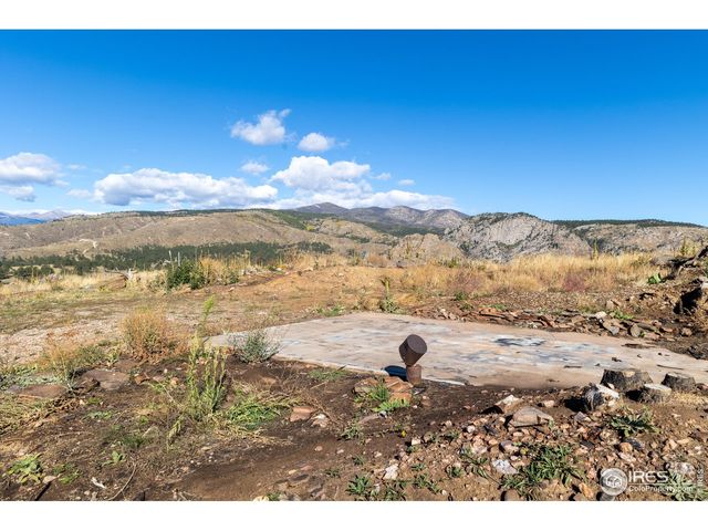 981 Palisade Mountain Dr, Drake, CO 80515