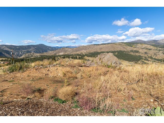 981 Palisade Mountain Dr, Drake, CO 80515