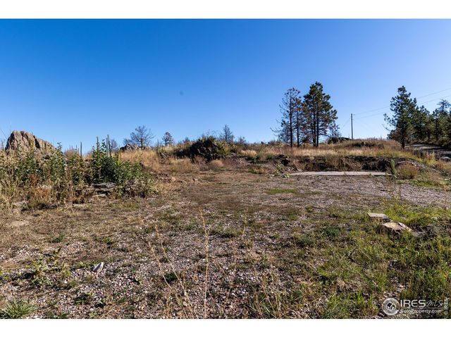 981 Palisade Mountain Dr, Drake, CO 80515