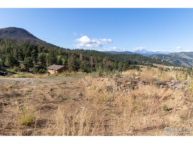 981 Palisade Mountain Dr, Drake, CO 80515