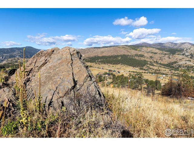 981 Palisade Mountain Dr, Drake, CO 80515
